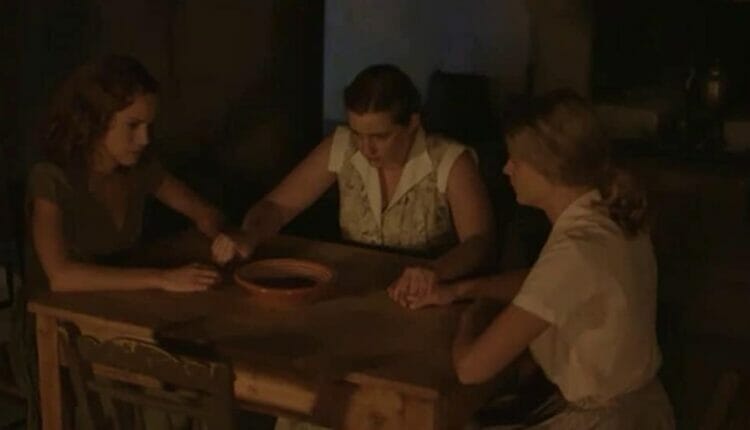 Dzikie Pszczoły ile odcinków